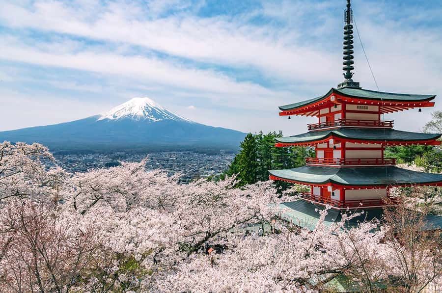 Mt. Fuji 6 Attractions Tour: Lake Kawaguchi, Oshino Hakkai - Lawson Convenience Store Stop: Fuji From a Modern Angle