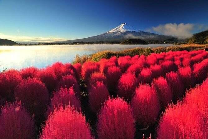 Mt. Fuji and Hakone 1 Day Bus Tour + Kimono Experience - Owakudani to Hakone base: how the endpoint options change your day