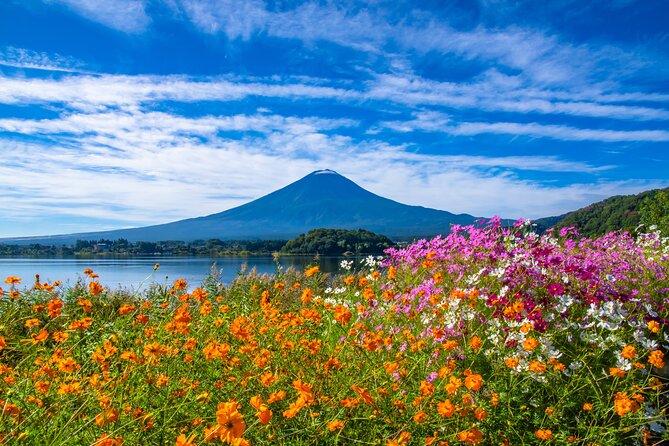 Mt. Fuji and Hakone 1 Day Bus Tour + Kimono Experience - Returning to Shinjuku on the Odakyu Romancecar (or not)