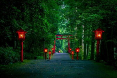 Mt Fuji and Hakone Private Day Tour - Mt. Fuji Route: from Chureito Pagoda to Kawaguchiko reflections