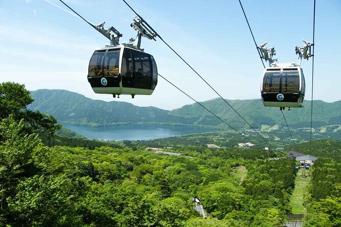 Mt.Fuji and Hakone Private SightSeeing Day Tour With Guide - Stop 4: Hakone Ropeway (about 1 hour, ticket not included)