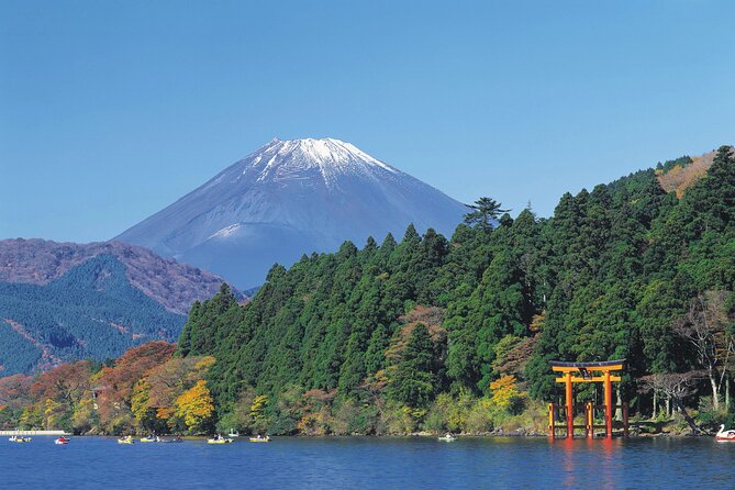 Mt.Fuji and Hakone Private SightSeeing Day Tour With Guide - Stop 6: Chureito Pagoda (about 45 minutes, free entry)