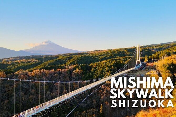 Mt. Fuji and Hakone Private Tour with English Speaking Guide - Stop 6: Hakone Ropeway to Owakudani for the Hell Valley Feeling