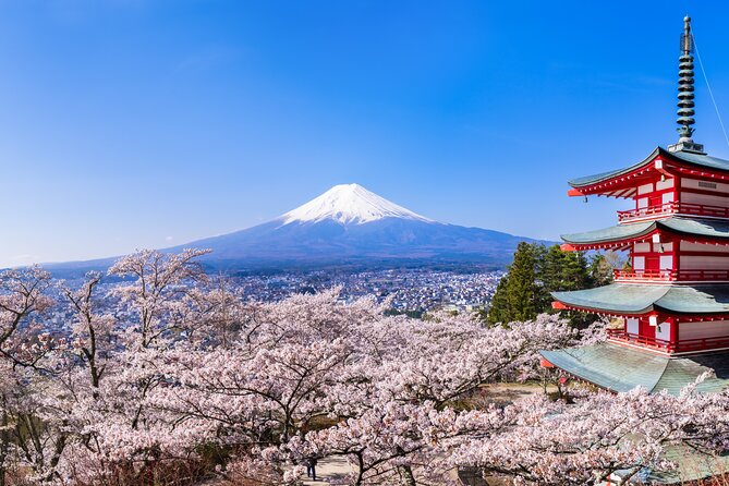 Mt.Fuji and Hakone Tour - How the 8:00am Tokyo to Hakone Day Fits Together