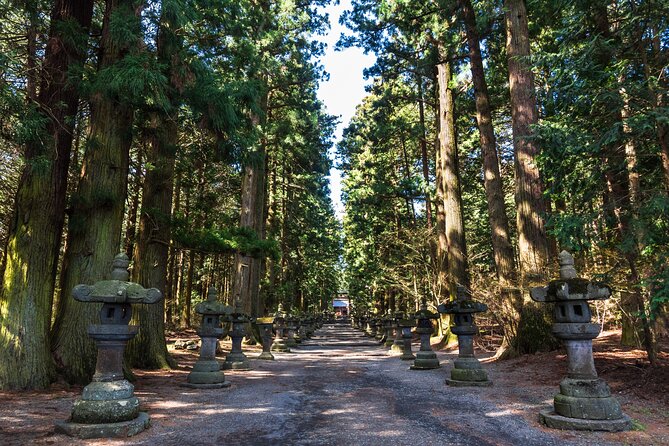 Mt.Fuji and Hakone Tour - Lake Ashinoko and the Pirate Ship: A Scenic Finish With Extra Ticket Costs