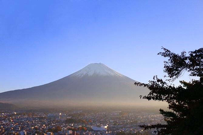 Mt. Fuji and Lake Kawaguchi Day Trip with Private Car - Oshino Hakkai: spring water from Mt. Fuji’s foothills