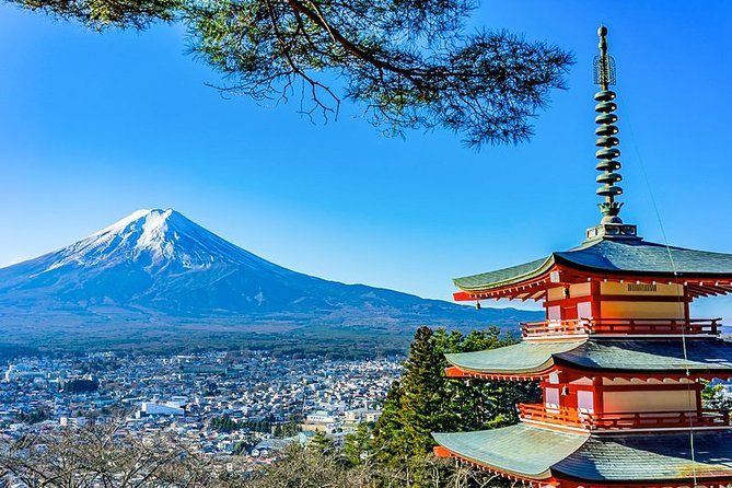 Mt. Fuji Area Tour Tokyo DEP: English Speaking Driver, No Guide - Key things I’d watch for
