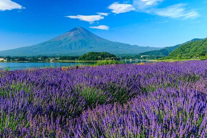Mt. Fuji Area Tour Tokyo DEP: English Speaking Driver, No Guide - Oshino Hakkai: The 8-Pond Fuji Water Stop