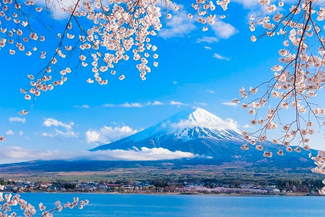 Mt. Fuji Area Tour Tokyo DEP: English Speaking Driver, No Guide - Value: What $748.78 per Group Really Buys