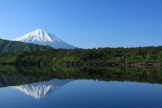 Mt Fuji Customizable Private Tour English Speaking Driver Pick-up - How the 9–10 hour plan fits eight-plus stops without feeling chaotic