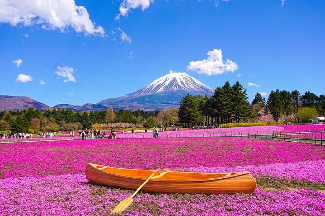 Mt. Fuji Day tour: Kawaguchi Lake Ropeway, Matcha, Oshino Hakkai - Five things that make this Mt. Fuji day tour work