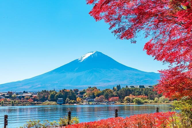 Mt. Fuji Day tour: Kawaguchi Lake Ropeway, Matcha, Oshino Hakkai - Why this Mt. Fuji day loop is a smart choice from Tokyo