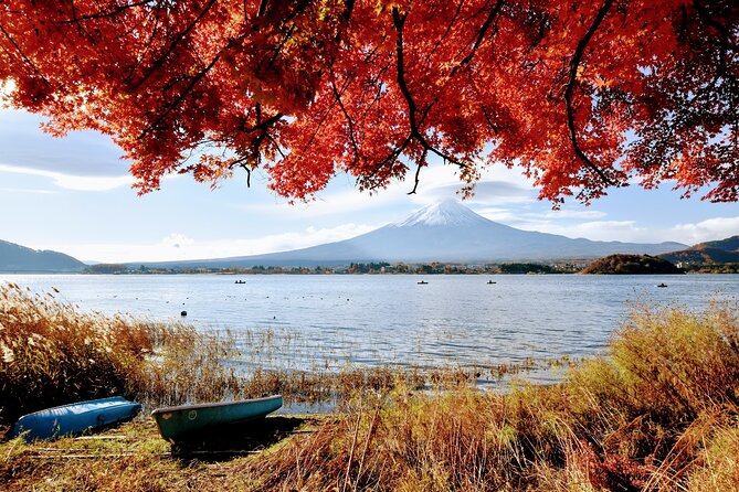 Mt Fuji Day Trip from Tokyo by Car with Photographer Guide - Stop 2: Oshino Hakkai for crystal-clear water and old-house views