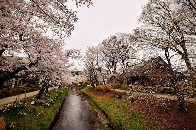 Mt Fuji Day Trip from Tokyo by Car with Photographer Guide - Stop 3: Saiko Iyashi no Sato Nemba for traditional roofs and Fuji behind them