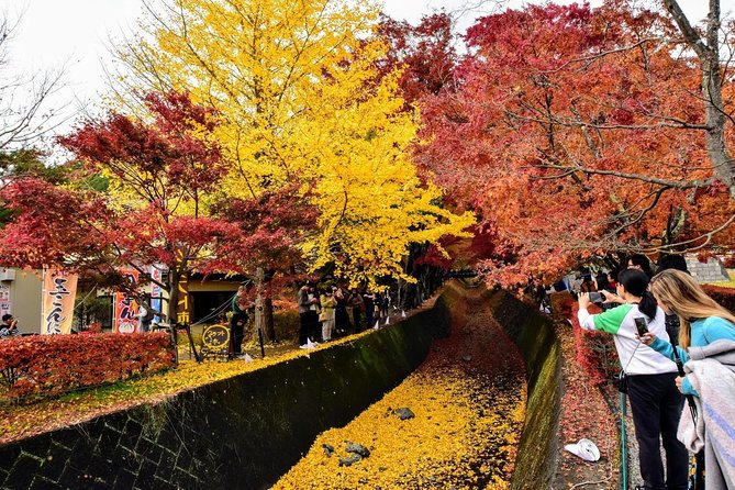Mt Fuji Day Trip from Tokyo by Car with Photographer Guide - Stop 4: Kitaguchi Hongu Fuji Sengen Jinja and a shrine-path to the mountain