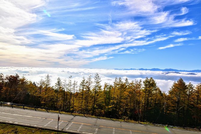 Mt Fuji Day Trip from Tokyo by Car with Photographer Guide - Price and value: when $1,150 can make sense