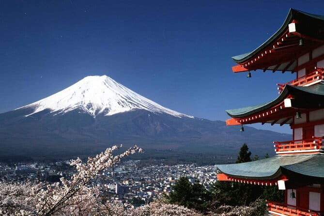Mt.Fuji day trip with English Speaking Chauffer - Key things I’d pay attention to