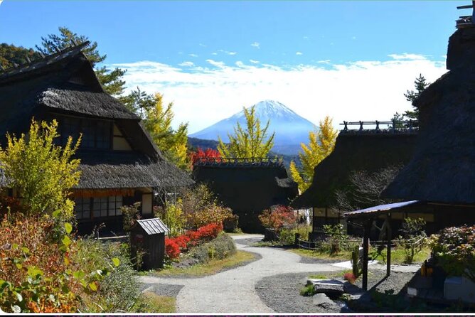 Mt Fuji Exclusive Tour with Private Car English Guide - Oishi Park and Lake Kawaguchiko: Flowers, Soft-Serve, and Fuji Views