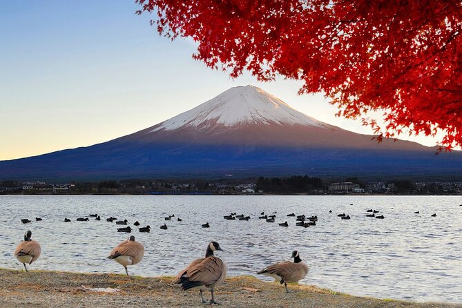 Mt Fuji Exclusive Tour with Private Car English Guide - Oshino Hakkai: Clear-Water Springs and a Fuji Village Walk