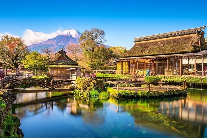 Mt Fuji Exploration Tour with Free Japanese Kusa Mochi from Tokyo - Price and Value: Is $82 a Good Deal?