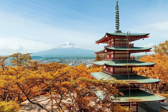 Mt Fuji Exploration Tour with Free Japanese Kusa Mochi from Tokyo - Arakurayama Sengen Park: Your First Viewpoint Stop