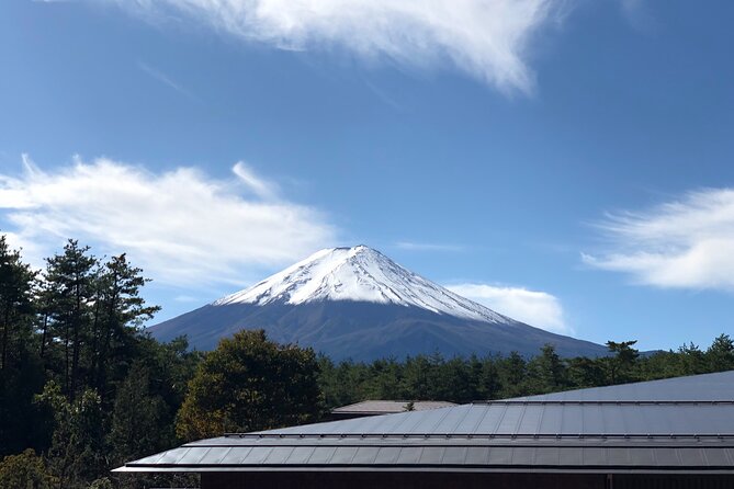 Mt. Fuji & Hakone Bus Tour Bullet Train Return & 28-Hotel Pick-up - Hotel Pickup to Tokyo Finish: The Logistics That Matter