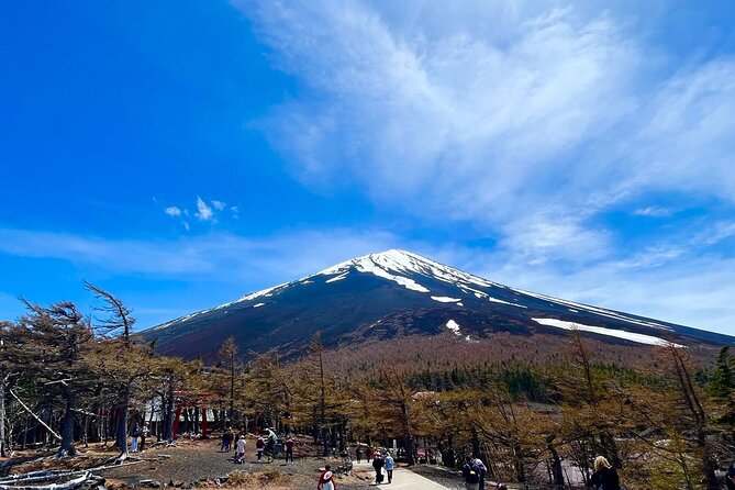 Mt. Fuji & Hakone Bus Tour Bullet Train Return & 28-Hotel Pick-up - Price and Value at $145.35: What You’re Really Paying For