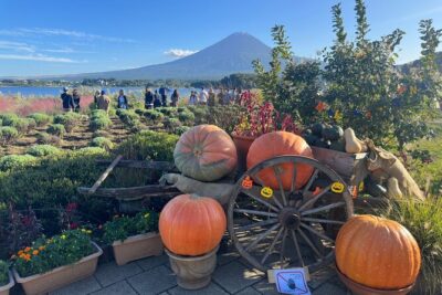 Mt. Fuji & Hakone Cherry Blossom private One Day Tour - Lake Ashinoko (Lake Ashi) and Togendai area: the “Hakone from the water” feeling