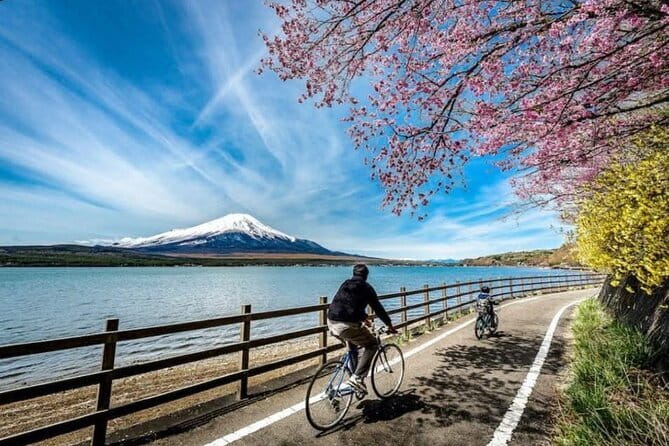 Mt fuji & Hakone customizable day tour w/ English speaking driver - What a 10-hour Fuji–Hakone day really means
