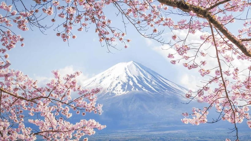 Mt.Fuji Hakone Day Tour With Lake Ashi Cruise, FREE Ropeway - What the Guides Actually Do for You