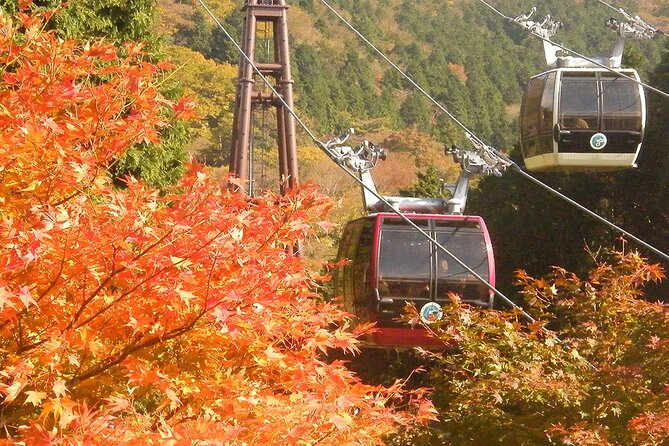 Mt. Fuji & Hakone: Fuji Sengen Shrine, Cruise, and Ramen-Making - Getting out of Tokyo: Shinjuku meeting point and early start