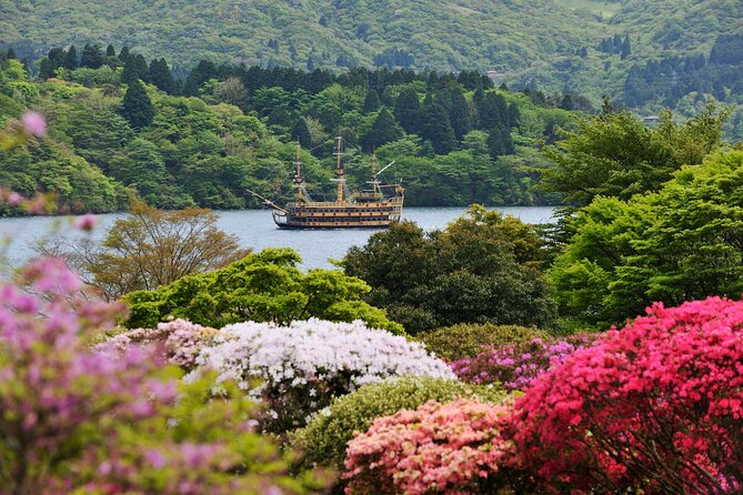Mt. Fuji & Hakone: Fuji Sengen Shrine, Cruise, and Ramen-Making - Price and value: what $128.69 is really buying you
