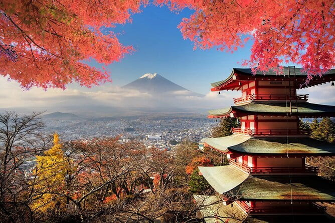 Mt Fuji, Hakone Private Tour by Car Pickup from Tokyo - Key things to know before you go