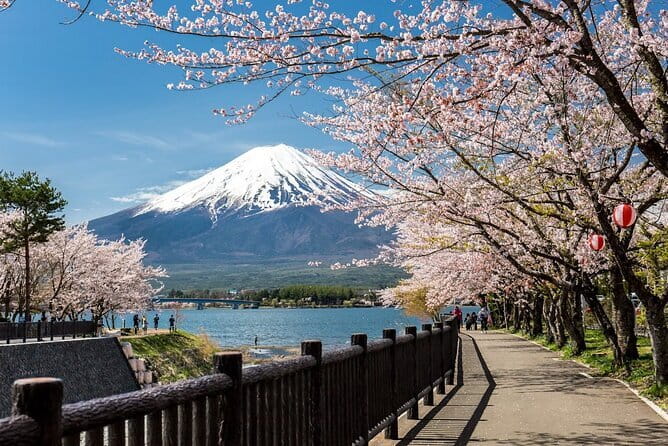 Mt Fuji, Hakone Private Tour by Car Pickup from Tokyo - A private day trip that keeps Tokyo from stealing your time