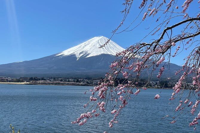 Mt Fuji, Hakone Private Tour by Car Pickup from Tokyo - Stop 3: Lake Kawaguchiko (1 hour by Fuji’s most accessible lake)