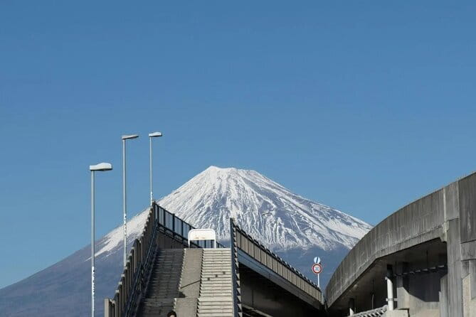 Mt Fuji, Hakone Private Tour by Car Pickup from Tokyo - Stop 6: Hakone Ropeway (scheduled time: 3 hours)