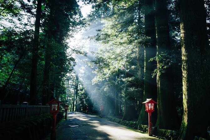 Mt. Fuji, Hakone Private Tour from Tokyo - Onsen, Arts and Nature - Hakone Turnpike scenic roads: why you start there