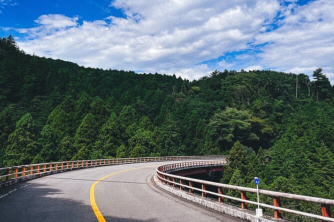 Mt. Fuji, Hakone Private Tour from Tokyo - Onsen, Arts and Nature - Hakone Shrine and Lake Ashi: the classic torii-by-the-water moment