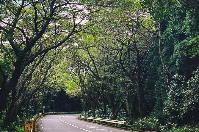 Mt. Fuji, Hakone Private Tour from Tokyo - Onsen, Arts and Nature - Lunch and onsen: the heart of a Hakone reset