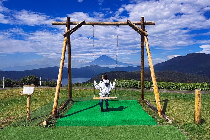 Mt. Fuji, Hakone Private Tour from Tokyo - Onsen, Arts and Nature - Hakone Open-Air Museum vs Pola Museum: art that changes with the weather