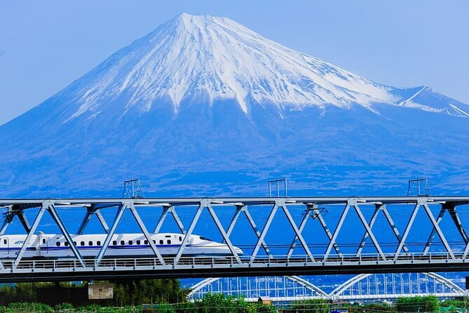 Mt Fuji & Hakone Private Tour from Tokyo: Return by Bullet Train - Key highlights worth your attention