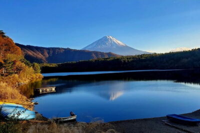 Mt Fuji & Hakone Private Tour from Tokyo: Return by Bullet Train - Chureito Pagoda and Kitaguchi shrine for that early Fuji wow