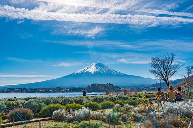 Mt. Fuji Highlight Photo Spots One Day Tour from Tokyo - Shiraito Waterfall and Obuchi Sasaba: texture, tea fields, and calmer views