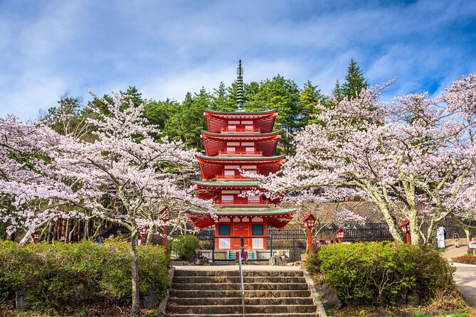Mt. Fuji Highlight Photo Spots One Day Tour from Tokyo - Guide support: why timing and coordination matter more than you think