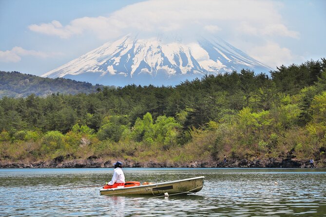 Mt. Fuji Highlight Photo Spots One Day Tour from Tokyo - Price and value: what $78.82 buys you (and what it doesn’t)
