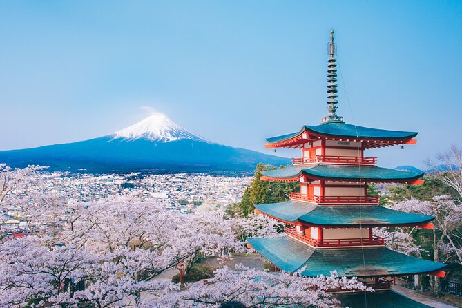Mt. Fuji Highlight Photo Spots One Day Tour from Tokyo - What you should expect from the day’s schedule (traffic, season, and vehicle limits)