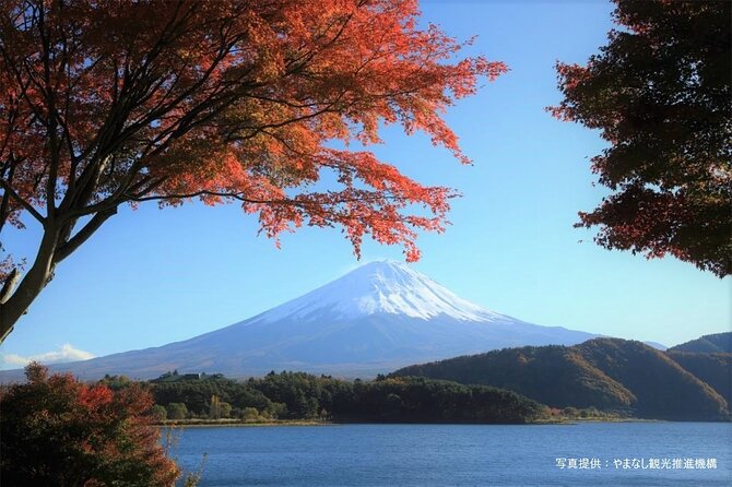 Mt. Fuji, Oishi Park & Arakurayama Pagoda Bus Tour with Lunch - Getting There Without the Tokyo Headache