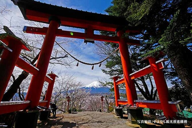 Mt. Fuji, Oishi Park & Arakurayama Pagoda Bus Tour with Lunch - Arakurayama Sengen Park and Chureito Pagoda: The Stair Climb Reality Check