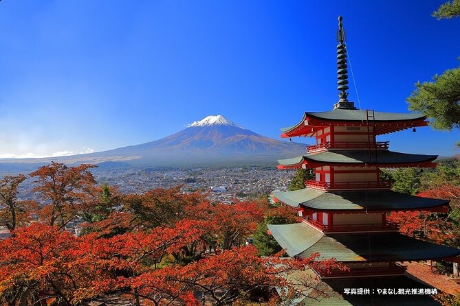 Mt. Fuji, Oishi Park & Arakurayama Pagoda Bus Tour with Lunch - Mt. Fuji 5th Station: The Highest Payoff Stop