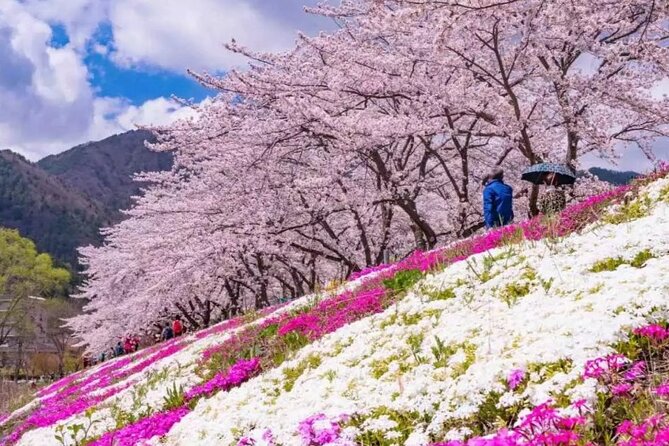 Mt. Fuji Panoramic Ropeway, 5th Station, And Oshino Hakkai Tour - Lake Kawaguchi and Oishi Park: calm timing for Fuji framing